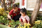 Triết lý giáo dục 5 chữ H của Tập đoàn Giáo dục Nguyễn Hoàng