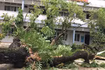 Ngày mai, hơn 2.300 học sinh Trường Hoàng Hoa Thám được nghỉ học