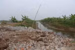 Vụ cưỡng chế ở Hải Phòng: Trước vụ ông Vươn, huyện đã 2 lần cưỡng chế