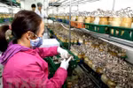 Phát triển kinh tế tư nhân là một trong những trọng tâm đột phá
