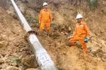 Tình hình hoạt động sản xuất kinh doanh tháng 7 của EVNNPC