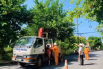 Tổng công ty Điện lực miền Bắc sẵn sàng các phương án phòng chống bão Yagi