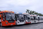 Hoàn thiện dự thảo Nghị định về kinh doanh vận tải bằng ô tô
