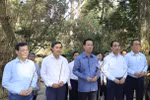 Chủ tịch nước dâng hương tại Khu di tích Quốc gia đặc biệt Tân Trào