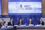 Chủ tịch nước dự Đối thoại giữa các nhà lãnh đạo các nền kinh tế APEC