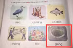 Đau đầu dạy con lớp 1, từ "giếng" đánh vần như thế nào?