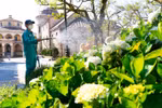 Sun World Ba Na Hills tất bật trước giờ mở cửa trở lại