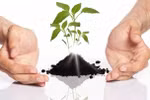 Giáo dục, góc nhìn qua lăng kính “đột phá” (phần cuối) 