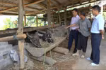 Tập huấn triển khai ứng dụng số, ngân hàng chính sách hỗ trợ người dân tiếp cận vốn dễ dàng