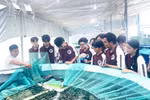Để đào tạo nghề trong trường phổ thông cần giải bài toán cơ sở vật chất và đội ngũ GV