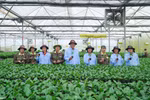 Điểm chuẩn, học phí và tiềm lực NCKH của một số trường đào tạo khối ngành Nông - Lâm nghiệp