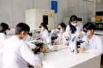 Ảnh minh họa: Mộc Trà.