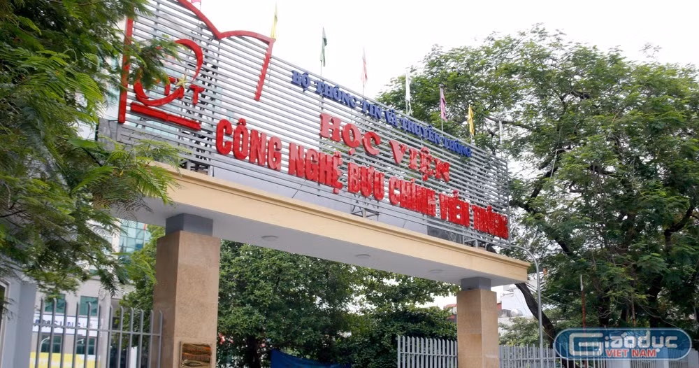 image-1.jpg
