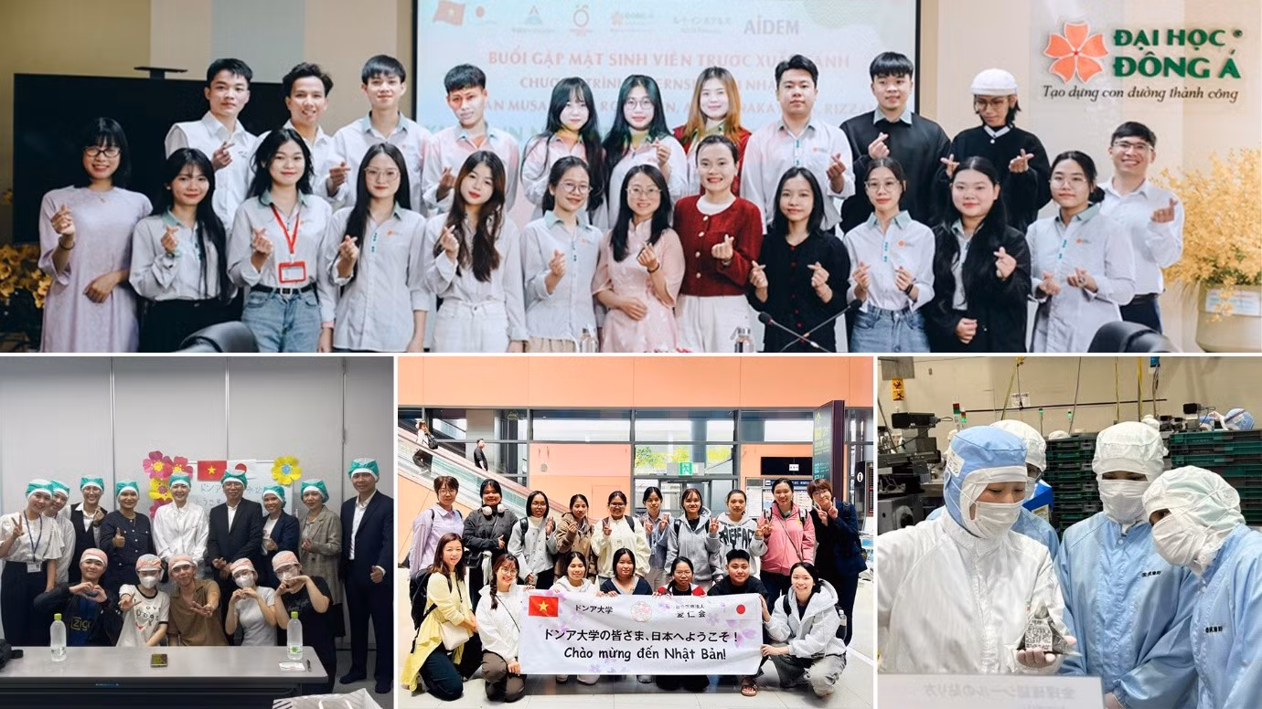 Sinh viên thực tập, làm việc tại các doanh nghiệp, tập đoàn Nhật Bản. Ảnh: NTCC.