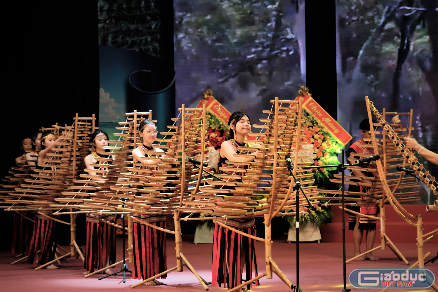 gdvn-bieu-dien.jpg