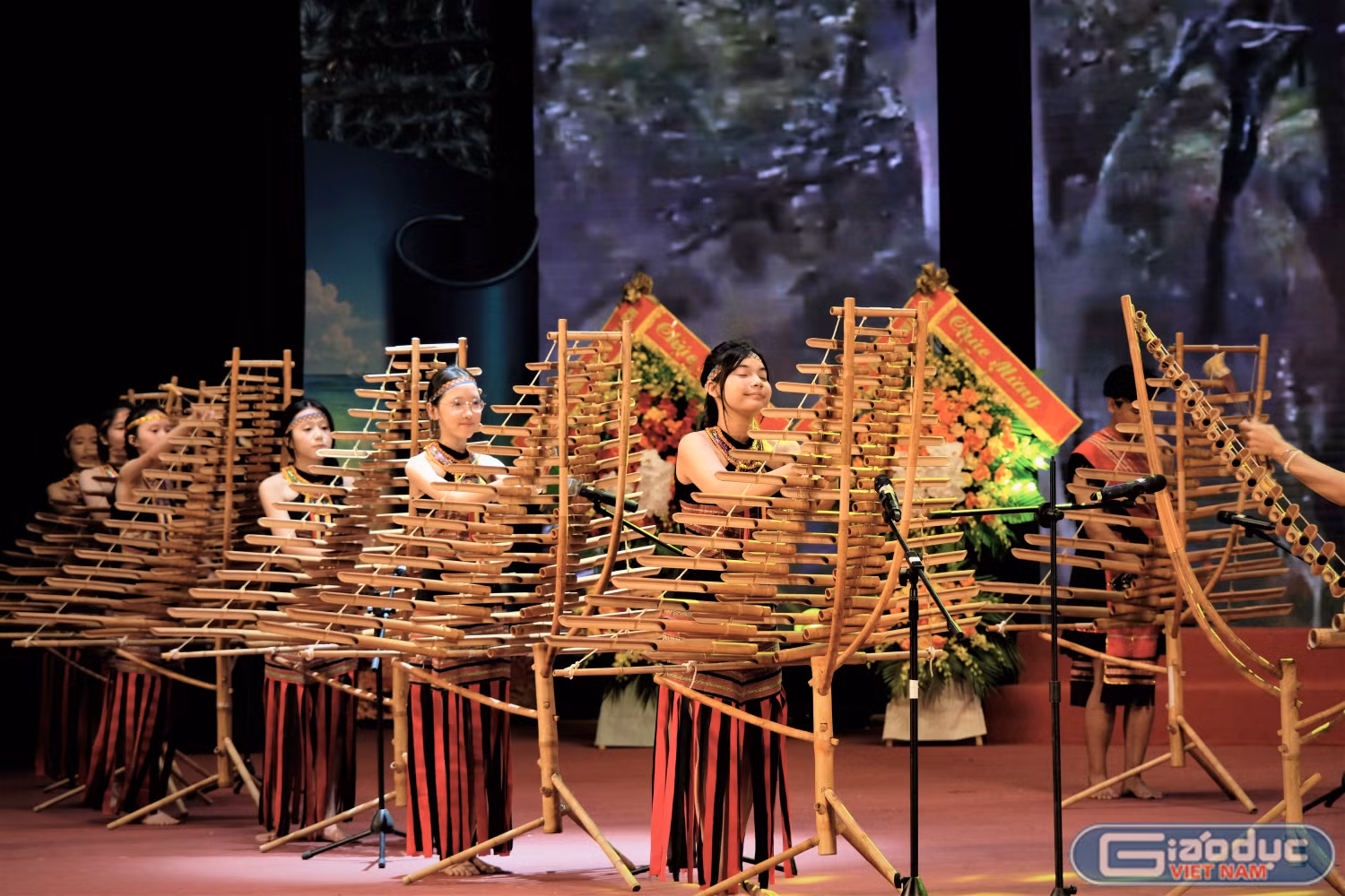 gdvn-bieu-dien.jpg