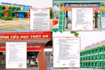 Công ty Chế biến sữa Ba Vì trúng thầu cung cấp sữa uống cho học sinh trường công nào ở Quảng Ninh?