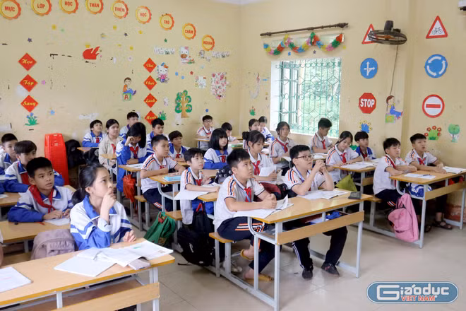 Những chính sách, quy định mới, cán bộ quản lý, giáo viên cần biết từ năm học 2026-2027