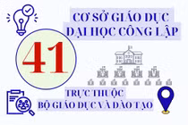 Hiện Bộ Giáo dục và Đào tạo có 41 cơ sở giáo dục đại học công lập trực thuộc