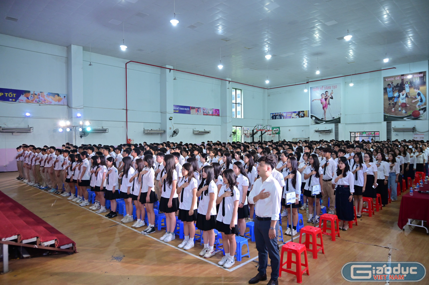 gdvn-8.jpg