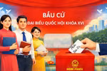 Chi tiết những người ứng cử ĐBQH khóa XVI đang công tác trong lĩnh vực giáo dục và đào tạo