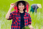 Cô gái Đà Nẵng và nỗ lực ứng dụng chuyển đổi số đưa hợp tác xã nông nghiệp phát triển bền vững