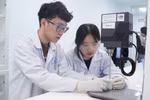 Cần tiếp tục hoàn thiện cơ chế cấp học bổng cho thí sinh top 30% xuất sắc nhất ngành khoa học cơ bản