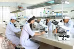 Nâng chuẩn công nhận "đại học" là cần thiết nhưng tiêu chí số lượng cần gắn chặt với chất lượng