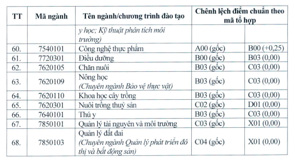 vinh-6.png