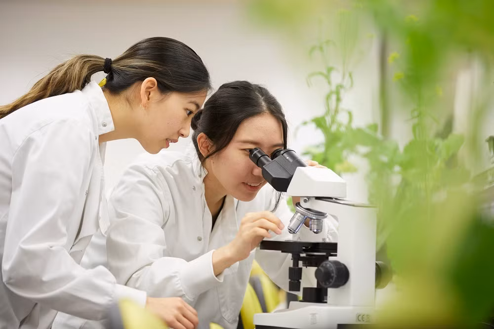 Sinh viên NCUK tại University of Bristol Ngôi trường thuộc nhóm các trường Russell Group danh giá của Vương Quốc Anh