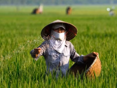 35.000 lít phân bón lá được nhập khẩu về đã dùng vào việc gì? 35.000 lít phân bón lá được nhập khẩu về đã dùng vào việc gì?