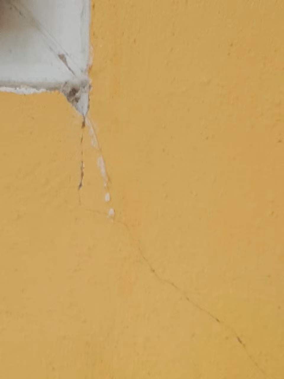 Một vài chỗ tường mới xây đã nứt có thể do chất lượng công trình không đảm bảo. Ảnh: NVCC. Một vài chỗ tường mới xây đã nứt có thể do chất lượng công trình không đảm bảo. Ảnh: NVCC.