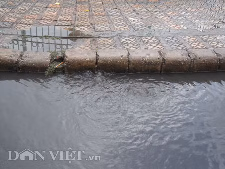 Dưới có hồ, còn phía trên lòng đường, vỉa hè cũng lại thành ao sau mưa Nước không thoát kịp xuống cống, ùn ùn đùn nước lên và chảy tràn xuống hồ Gươm Người đàn ông này bị mắc kẹt trên vỉa hè Nước lênh láng cả một đoạn dài phía đường Đinh Tiên Hoàng Có những chỗ ngập sâu đến nửa mét Bãi để xe ô tô ven hồ Gươm cũng bị ngập khá sâu Nước cống hòa nước mưa, ứ đọng, đen ngòm và kèm theo đó là mùi hôi thối nồng nặc Từng mảng váng bẩn cuộn lại theo dòng nước xoáy tràn xuống hồ Gươm Nước bẩn ào ào xối xuống lòng hồ Dưới có hồ, còn phía trên lòng đường, vỉa hè cũng lại thành ao sau mưa Nước không thoát kịp xuống cống, ùn ùn đùn nước lên và chảy tràn xuống hồ Gươm Người đàn ông này bị mắc kẹt trên vỉa hè Nước lênh láng cả một đoạn dài phía đường Đinh Tiên Hoàng Có những chỗ ngập sâu đến nửa mét Bãi để xe ô tô ven hồ Gươm cũng bị ngập khá sâu Nước cống hòa nước mưa, ứ đọng, đen ngòm và kèm theo đó là mùi hôi thối nồng nặc Từng mảng váng bẩn cuộn lại theo dòng nước xoáy tràn xuống hồ Gươm Nước bẩn ào ào xối xuống lòng hồ