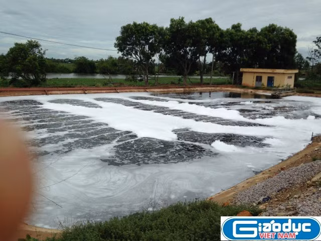 Nước xả tại dự án xử lý rác thải thị xã Sầm Sơn. Ảnh: Duy Phong Nước xả tại dự án xử lý rác thải thị xã Sầm Sơn. Ảnh: Duy Phong