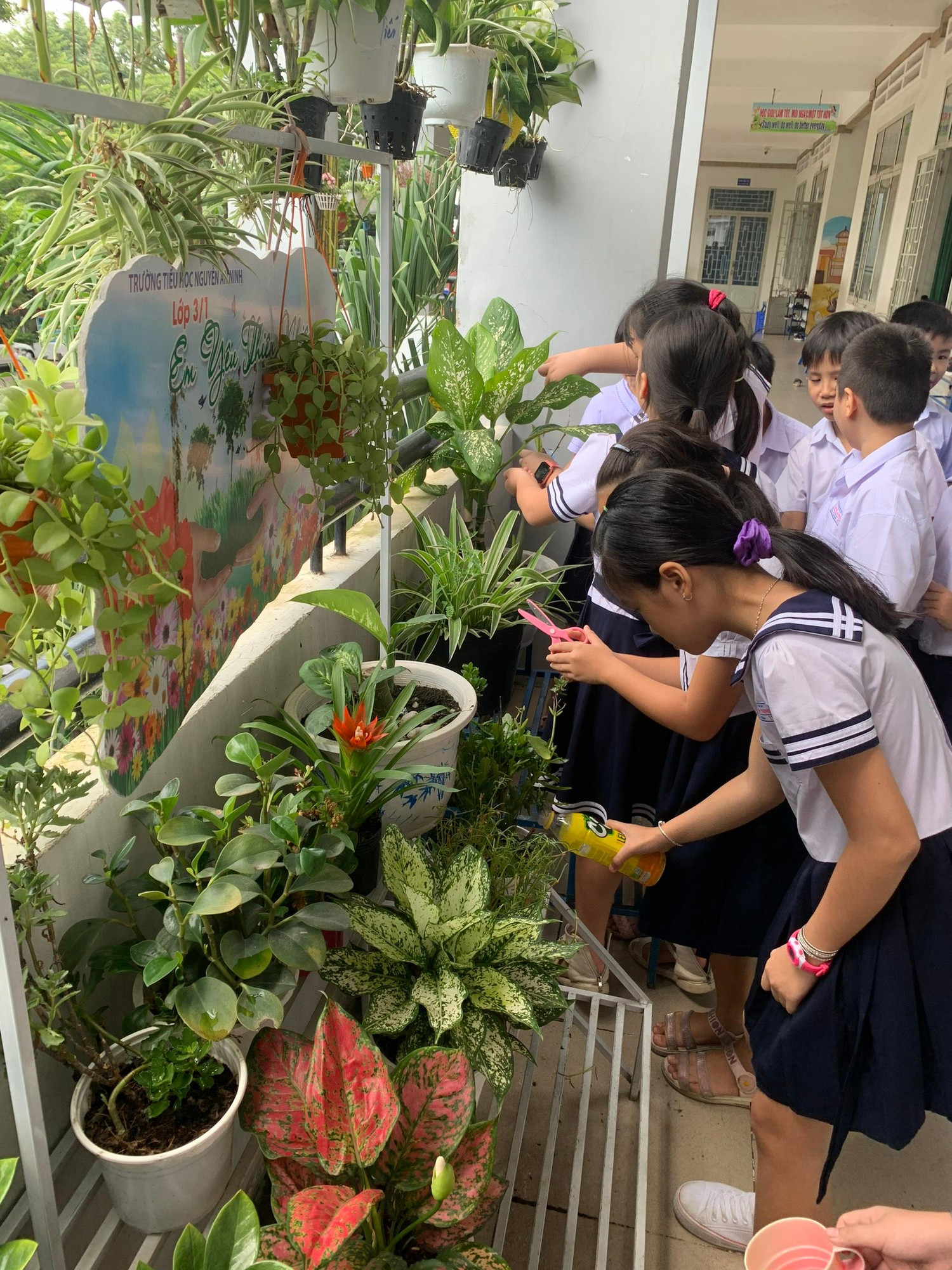 Học sinh tự chăm sóc cây kiểng. Ảnh: Hữu Đức