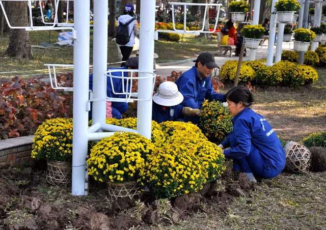 Hoa tươi được dâm xuống luôn dưới đất và có thêm những bồn hoa đẹp.