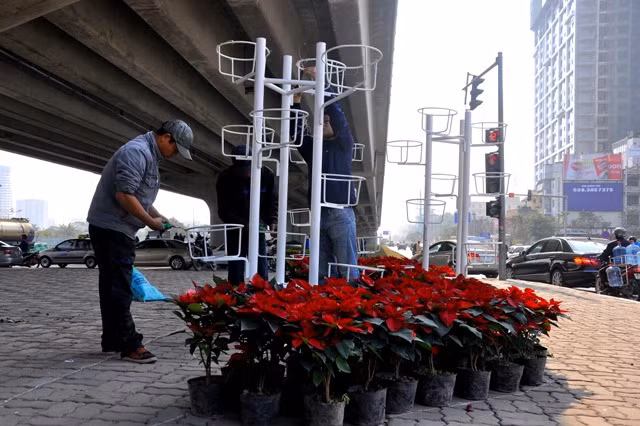 Tại ngã tư Khuất Duy Tiến – Phạm Hùng, các nhân viên công ty môi trường Vườn thú Hà Nội đang khẩn trương làm những dàn hoa cuối cùng tại đây.