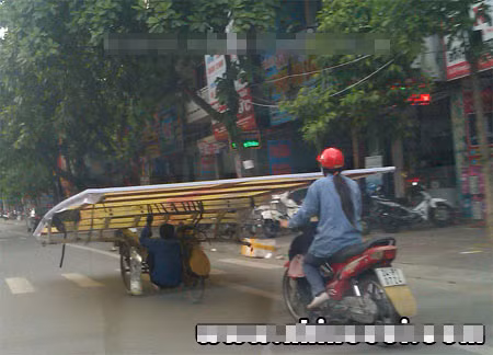 Không thể tin vào mắt mình.