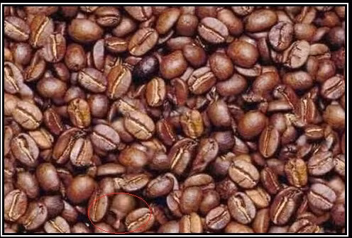 Một cái đầu hói.