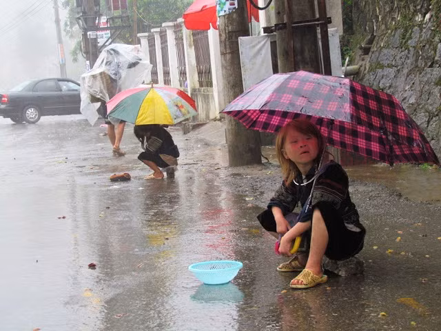 Em bé này mới 5 tuổi Em bé này mới 5 tuổi