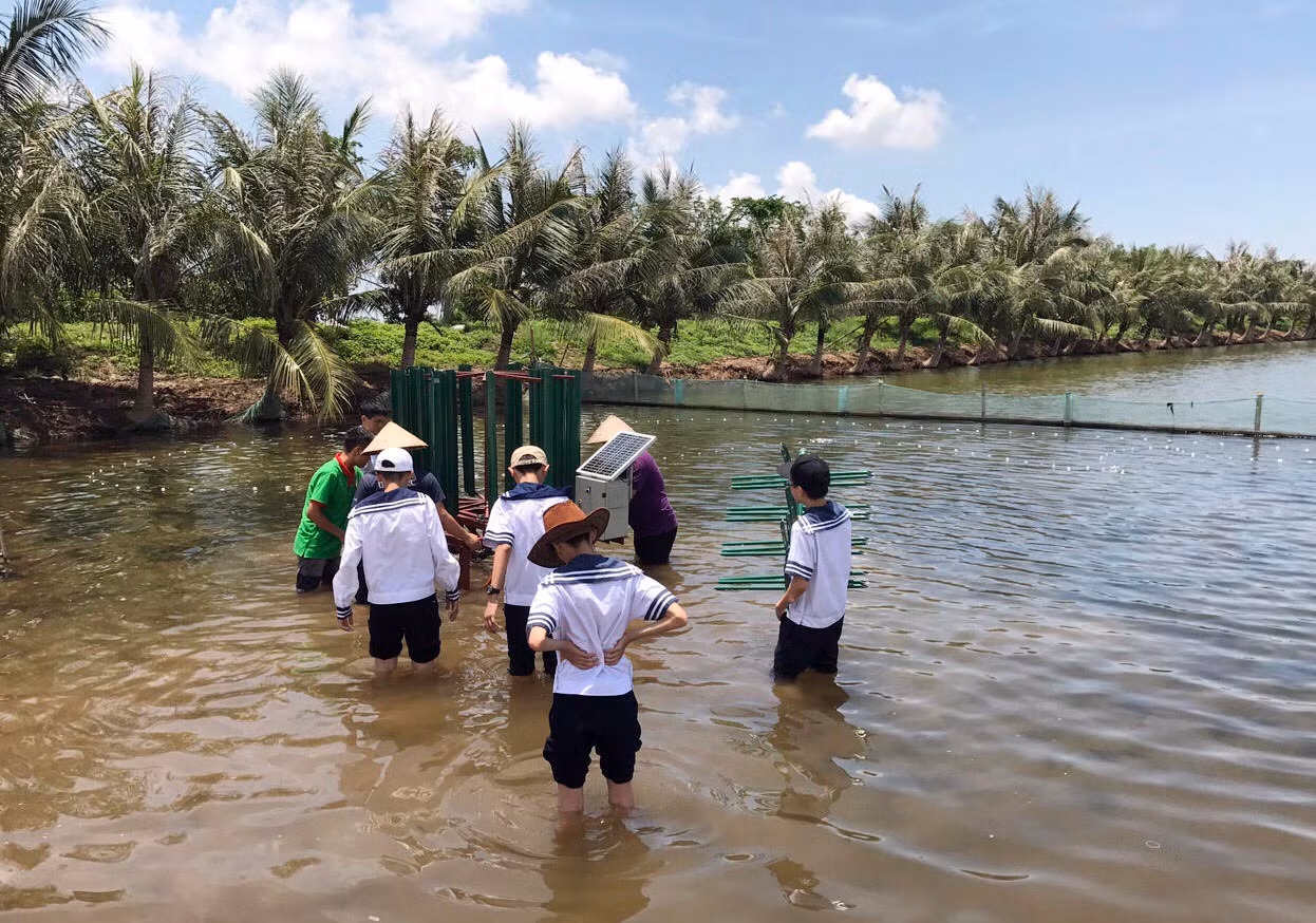 Máy khuấy, đảo khí chạy bằng năng lượng gió được nghiên cứu, chạy thực nghiệm 3 lần tại đầm nuôi tôm (Ảnh: Nguyễn Đại)