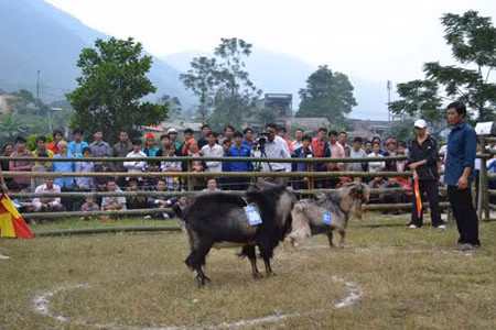 Không được chạy