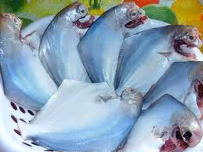 Thông thường, các thực phẩm đông lạnh đều được yêu cầu giữ ở -18 độ C vậy, khi mang về nhà bảo quản, thực phẩm đông lạnh dễ bị hỏng. Nếu khi chế biến, không chú ý có thể gây ngộ độc do thực phẩm đã biến chất và sự phát triển trở lại của vi khuẩn. Bởi vậy, khi sử dụng phải hết sức chú ý để tránh ảnh hưởng đến sức khỏe. Xem thêm: Những loại cá nước ngọt cực tốt cho sức khỏe/ Những loài hoa tốt cho sức khỏe