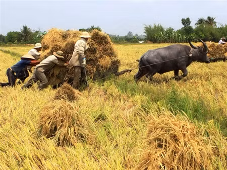 40 năm sau khi thống nhất đất nước, kinh tế Việt Nam vẫn đang ở một khoảng cách khá xa so với Nhật Bản, Hàn Quốc, Malaysia. 40 năm sau khi thống nhất đất nước, kinh tế Việt Nam vẫn đang ở một khoảng cách khá xa so với Nhật Bản, Hàn Quốc, Malaysia.
