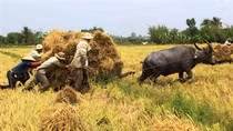 Không được vay vốn để... ăn, chia ảnh 2 Không được vay vốn để... ăn, chia ảnh 2