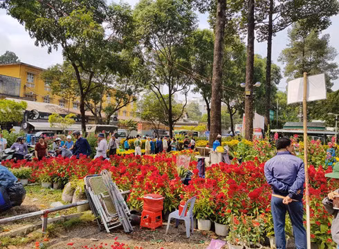 Cảnh mua bán hoa kiểng tấp nập tại chợ hoa công viên 23/9 vào sáng ngày 15/2 (ảnh: P.L) Cảnh mua bán hoa kiểng tấp nập tại chợ hoa công viên 23/9 vào sáng ngày 15/2 (ảnh: P.L)