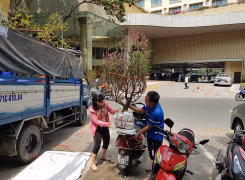 Một cành đào rất đẹp như vậy chỉ có giá 300.000 đồng vào trưa ngày 30 tết ở Sài Gòn (ảnh: P.L) Một cành đào rất đẹp như vậy chỉ có giá 300.000 đồng vào trưa ngày 30 tết ở Sài Gòn (ảnh: P.L)