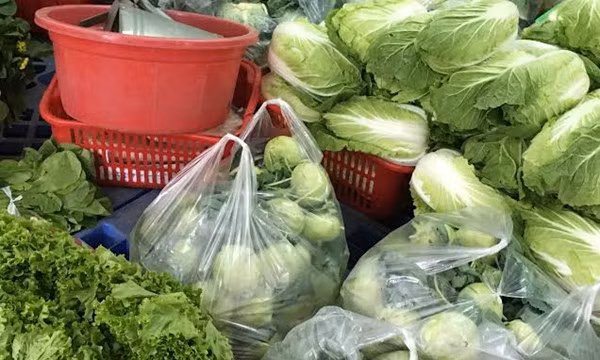 Hàng trăm kg rau củ không rõ nguồn gốc được công ty Trung Thành phân phối cho các trường trên địa bàn quận Tây Hồ (Ảnh: VTV).