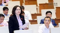 Đại biểu Quốc hội Ngô Thị Minh (ảnh quochoi.vn).