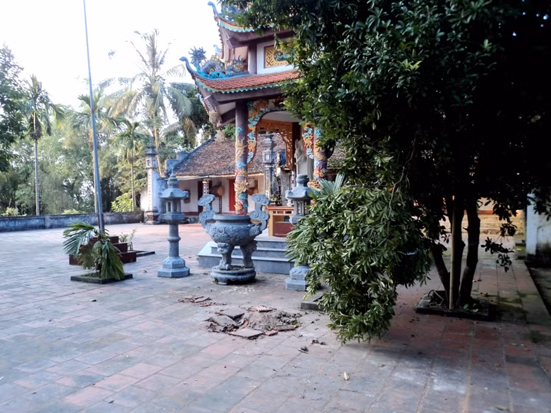 Cây cối xung quanh bị gãy cành và...